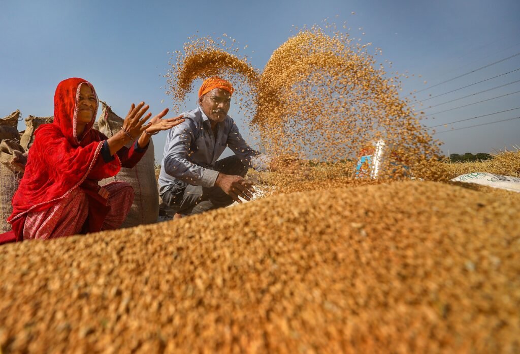 Government Approves Additional 25 LMT Wheat Exports to Boost Farmer Income
