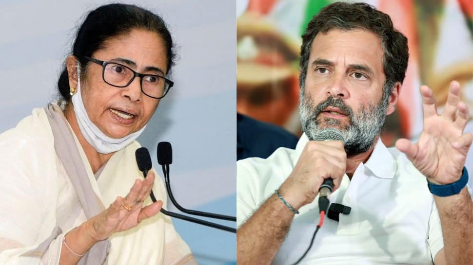 Rahul Gandhi Questions ECI Neutrality After Trinamool Congress Symbol Frozen Ahead of Bypolls